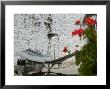 Using Solar Panel To Cook, Sera Temple, Lhasa, Tibet, China by Keren Su Limited Edition Print