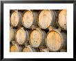 Oak Barrels In Winery, Sonoma Valley, California, Usa by Julie Eggers Limited Edition Print