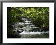 Tabacon Hot Springs, Volcanic Hot Springs Fed From The Arenal Volcano, Arenal, Costa Rica by Robert Harding Limited Edition Print