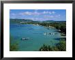 Saint Anne, Island Of Martinique, Lesser Antilles, French West Indies, Caribbean, Central America by Yadid Levy Limited Edition Print