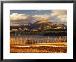 Vineyard And Lake Wanaka, Wanaka, Central Otago, South Island, New Zealand, Pacific by Jochen Schlenker Limited Edition Print