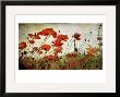 Orange Flower Patch by Mia Friedrich Limited Edition Print