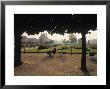 Jardin Des Tuileries, Paris, France by Jon Arnold Limited Edition Print