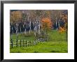 Rural Landscape, East Arlington, Vermont, Usa by Joe Restuccia Iii Limited Edition Print