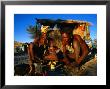 Kalahri Bushmen Cooking On Fire Outside Their Grass Homestead, South Africa by Ariadne Van Zandbergen Limited Edition Print