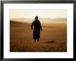 Mongolian Woman Walking Across The Steppe At Sunrise by Jerry Galea Limited Edition Pricing Art Print