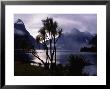 Milford Sound In Morning Mist by Holger Leue Limited Edition Print