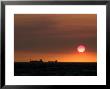 Cargo Ships Silhouetted On Horizon At Sunset, Cottesloe Beach by Orien Harvey Limited Edition Print