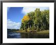 Birch Trees Along A Lake In Grass River Provincial Park by Raymond Gehman Limited Edition Pricing Art Print