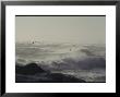 Sea Birds Fly Above Large Waves Crashing Onto Maine's Rocky Coastline by Bill Curtsinger Limited Edition Print