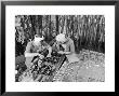 Two Women Wiring Cable Board For 10 Kw Broadcast Transmitter At General Electric Plant by Alfred Eisenstaedt Limited Edition Print