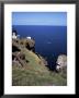 Lighthouse And Sea-Bird Cliffs, St. Abb's Head, Berwickshire, Borders, Scotland by Geoff Renner Limited Edition Pricing Art Print