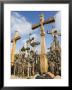 Hill Of Crosses, A Tradition Of Planting Crosses Since The 14Th Century, Baltic States by Christian Kober Limited Edition Print