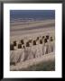 Cane Chairs On Beach, Egmond, Holland by I Vanderharst Limited Edition Print