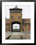 The Rail Entry Where All Prisoners Came, Auschwitz Second Concentration Camp At Birkenau, Poland by R H Productions Limited Edition Print