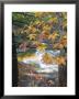 Stream And Fall Foliage, New Hampshire, Usa by Nancy Rotenberg Limited Edition Print