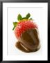 A Chocolate-Dipped Strawberry by Greg Elms Limited Edition Pricing Art Print