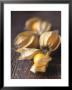 Four Cape Gooseberries (Physalis) by Philip Webb Limited Edition Print