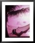 Woman Relaxing In A Hammock On The Beach At Sunset by Bill Bachmann Limited Edition Print