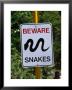 Snake Sign At Museum Of Modern Art In Heidi, Melbourne, Australia by John Banagan Limited Edition Print