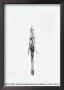 Standing Woman by Alberto Giacometti Limited Edition Print