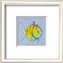 Striped Angel Fish by Anthony Morrow Limited Edition Pricing Art Print