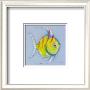 Striped Angel Fish by Anthony Morrow Limited Edition Print