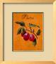 Plums by Nancy Wiseman Limited Edition Pricing Art Print