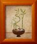 Bamboo, Luck by Valerie Wenk Limited Edition Pricing Art Print