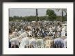 Friday Worshippers At The Mosque In Kano by Robert Sisson Limited Edition Print