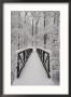 A View Of A Snow-Covered Bridge In The Woods by Richard Nowitz Limited Edition Pricing Art Print
