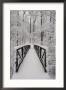 A View Of A Snow-Covered Bridge In The Woods by Richard Nowitz Limited Edition Print