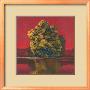 Shades Of Fall Iv by Robert Holman Limited Edition Print