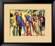Macaws, Illustration by Auguste Macke Limited Edition Pricing Art Print