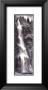 Chasing Waterfalls by Mike Jones Limited Edition Print