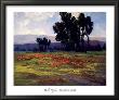 Wild Poppies by Brigitte Curt Limited Edition Pricing Art Print