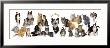 Cats Rule by Anthony Matos Limited Edition Print