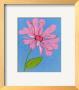 Wild Daisy I by Kate Rowley Limited Edition Print