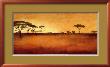 Serengeti I by Tandi Venter Limited Edition Pricing Art Print