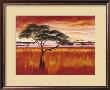 Serengeti Dusk by Emilie Gerard Limited Edition Print