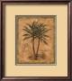 Cocos Nucifera by Betty Whiteaker Limited Edition Pricing Art Print