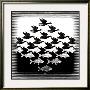 Sky And Water by M. C. Escher Limited Edition Print
