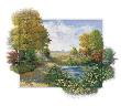 Autumn Morning by Peter Motz Limited Edition Print