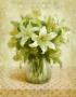 Cottage Lilies In White by Danhui Nai Limited Edition Pricing Art Print