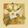 Rhododendron Of Spring by Cheri Blum Limited Edition Print