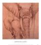 Elefantes En El Papel Quatro by Caroline Luzon Limited Edition Print