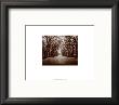 New York, New York - Central Park by Walter Gritsik Limited Edition Print