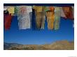 A Line Of Multi-Colored Prayer Flags Sway In The Gentle Breeze In Ladakh by Barry Tessman Limited Edition Print
