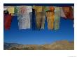 A Line Of Multi-Colored Prayer Flags Sway In The Gentle Breeze In Ladakh by Barry Tessman Limited Edition Print