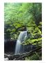 A Cascade Falls From A Rock Formation by Bill Curtsinger Limited Edition Print